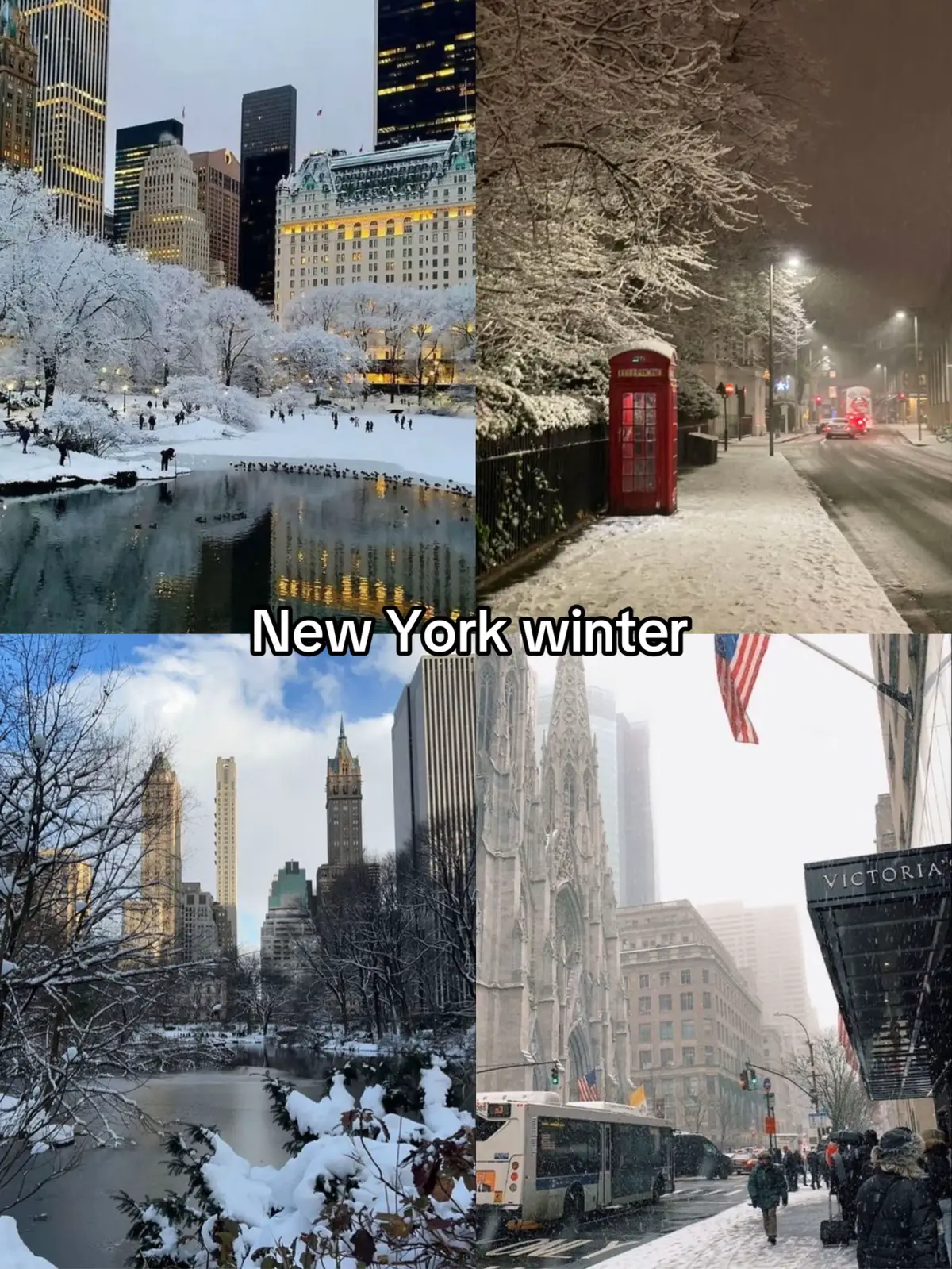 #newyork #trend #fyp #libertywalk #life