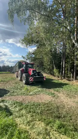 #caseihagriculture #teamcaseih #agriculture 