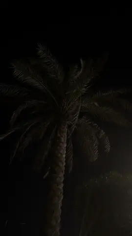 #dancewithpubgm #fyp #explore 