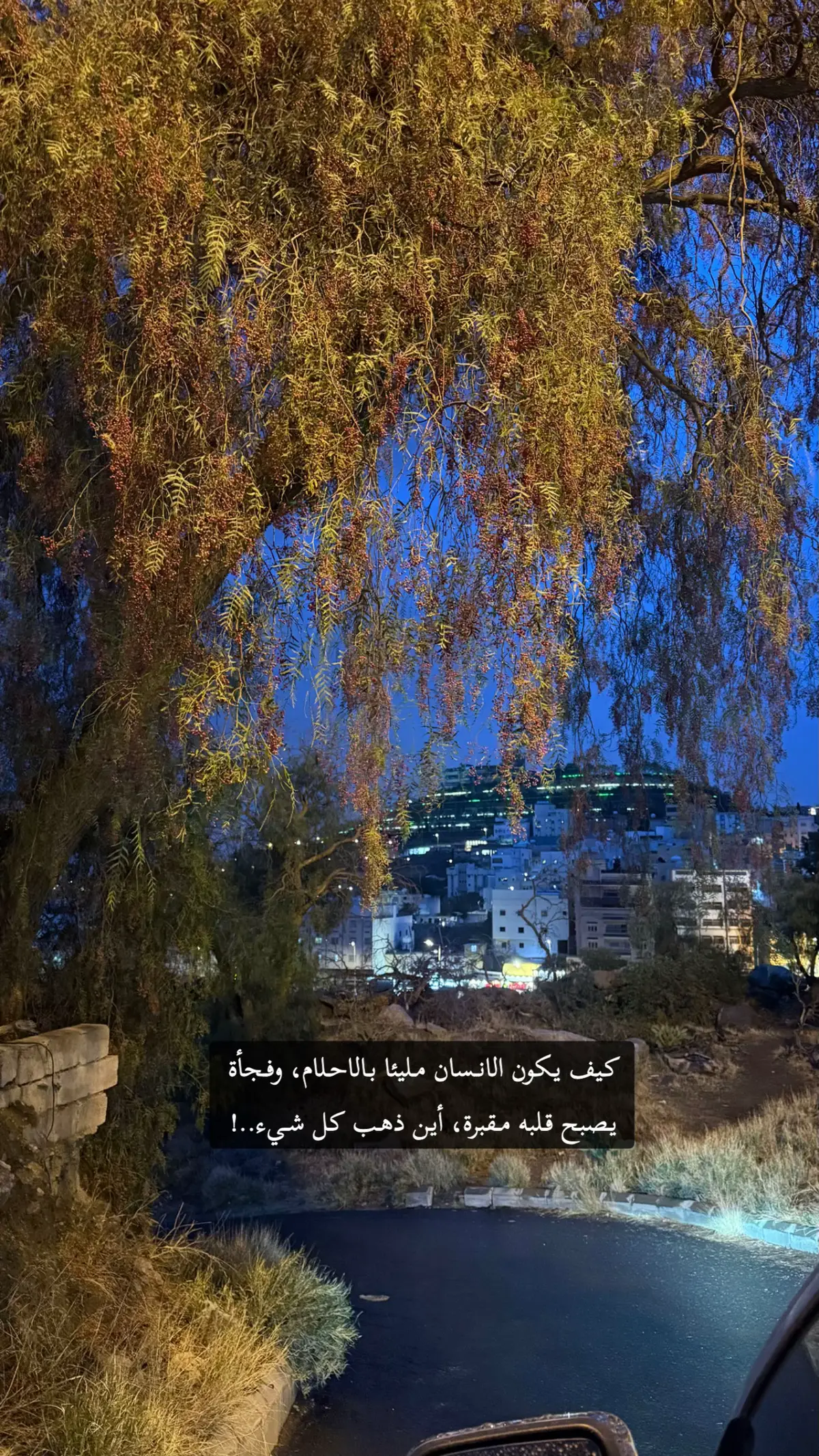 #اكسبلور #ابها #explore #اقتباسات #صيف_ابها 