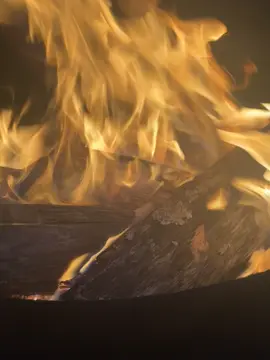 #bonfire #saturday #fyp #camping 