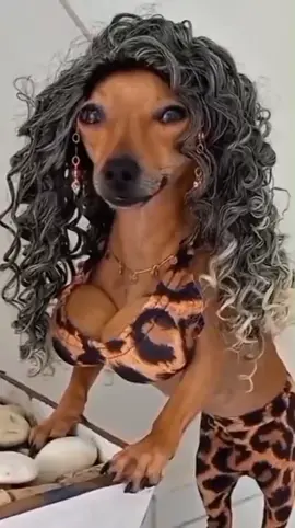 nomes engraçados parte 3/7, animais engraçados 2024 😄😄😂😂#vidaanimal #vidaanimalnarrada #animaisnotiktok #cachorros #gatos #comedia #engracado #gosteipostei #fyp 