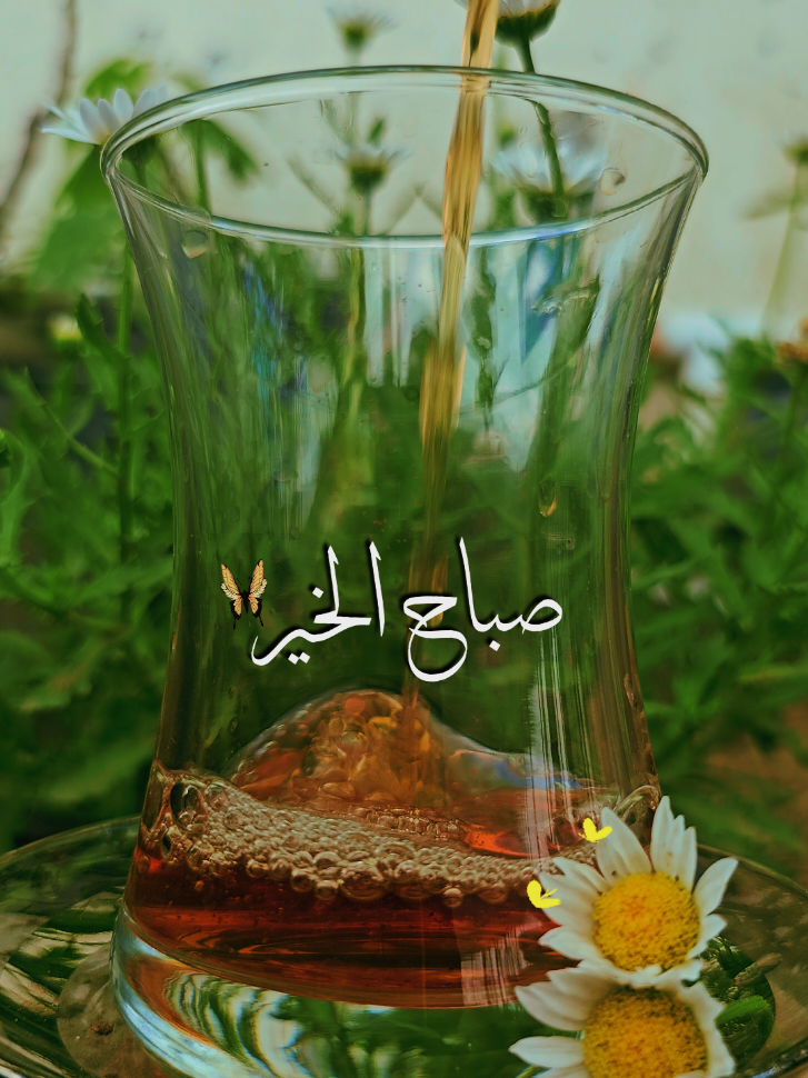 صباح الخير 🤍 #صباحكم_أحلى_صباح #صباحكم_معطر_بذكر_الله #صباح_السعادة_والرضا #صباح_الخير #صباح_الورد #تصاميم_صباحيات #صباحيات #دعاء_الصباح #صباحكم_جميل #صباحكم #اكسبلور #استوريات  #طائر_لصباح  #اكسبلوووور #فوريو #اكسبلوررررررررر #لايك_فولو #فوريو #اكسبلورررررررررررررررررررر #لايك #السعودية ##الكويت_مصر_السعودية_سوريا_الامارت #العراق_السعوديه_الاردن_الخليج #السعودية_تيك_توك #السعوديه_الرياض_جده_الشرقيه_ابها_مكه #السعودية_الكويت_مصر_العراق_لبنان #الرياض_جده_مكه_الدمام_المدينه #ترند #ترندات_تيك_توك #ترندات ##الأحد #ترند_تيك_توك #الخميس #دعاء_الصباح #شاي_الصباح #روقان #صباح_الروقان #صباحكم #صباحيات #صباحيات_رايقه #explore #explorer #foryou #fyp #foryoupage #فوريو_foryo #fyppppppppppppppppppppppp #goodmorning #fyp #foryoupage #لايكexplore #like #saudiarabia🇸🇦 