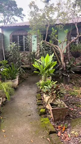 Venta de casa son dos por el precio de una, en Siguatepeque comayagua , barrio san luis aguas caliente a 15 minutos al centro caminando 3 millones docientos mil negociable 🇸🇻