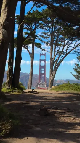 Best view of the golden gate imo #sf #bayarea #sanfrancisco 