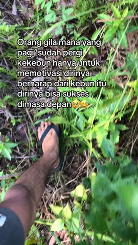 #bossawit🌴 #petanisawit🌴 #petanimilenial #4u #4upage #fypシ゚viral #sawittiktok🌴🌴🌴 