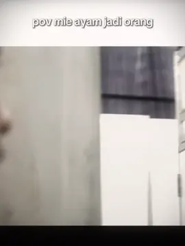 kalo bentukannya kaya gini, rela banget sih tiap hari beli mi ayam🫶🏻😋 #fypシ゚viral #aryamohan #miayam #lewatberandafypシ #foryou @arya mohan 