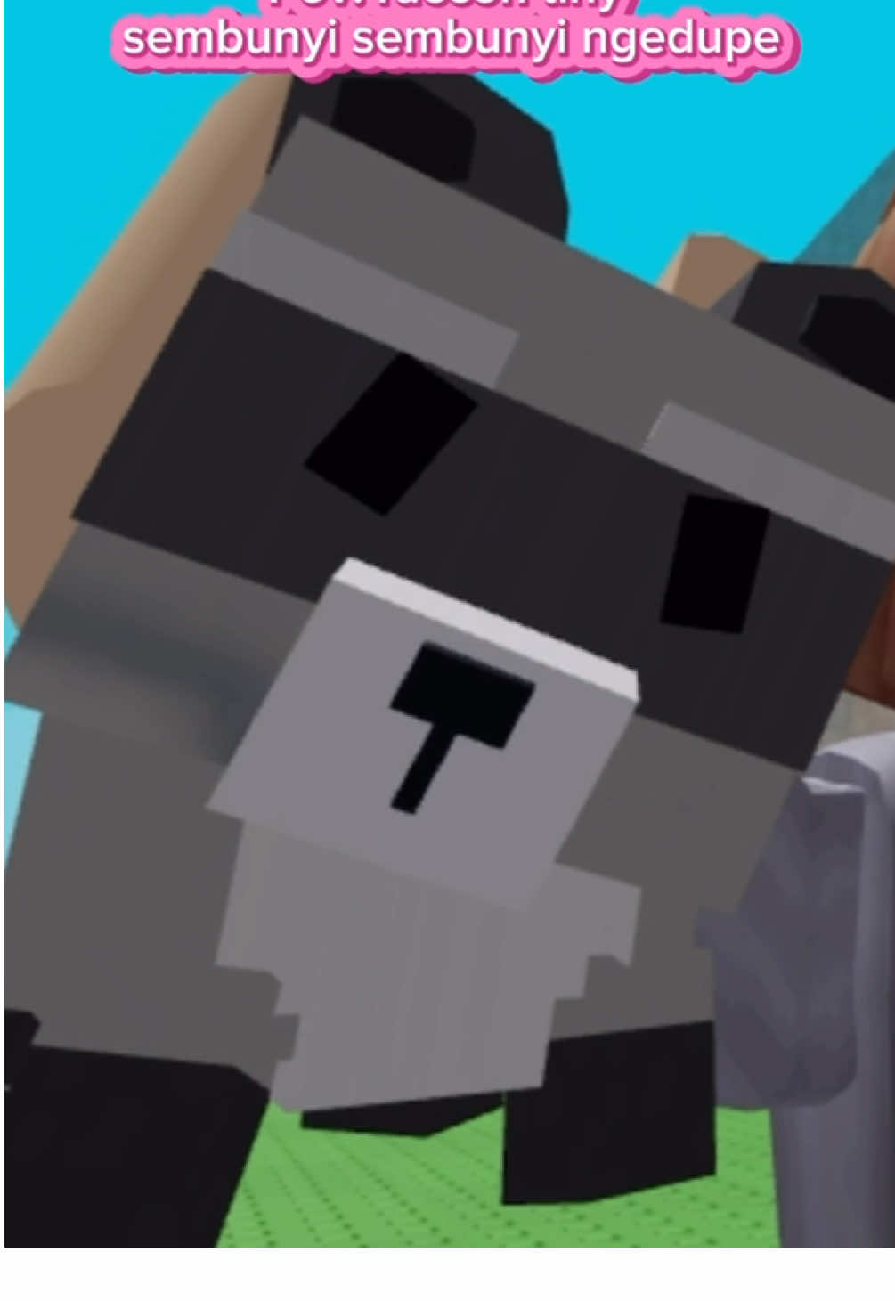 🫣#roblox #growagarden #growagardenedit #robloxfyp #robloxedit 