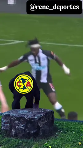 Así juega Allan Saint-Maximin el posible nuevo refuerzo de las poderosas Águilas del América #ligamx #clubamerica #allansaintmaximin 