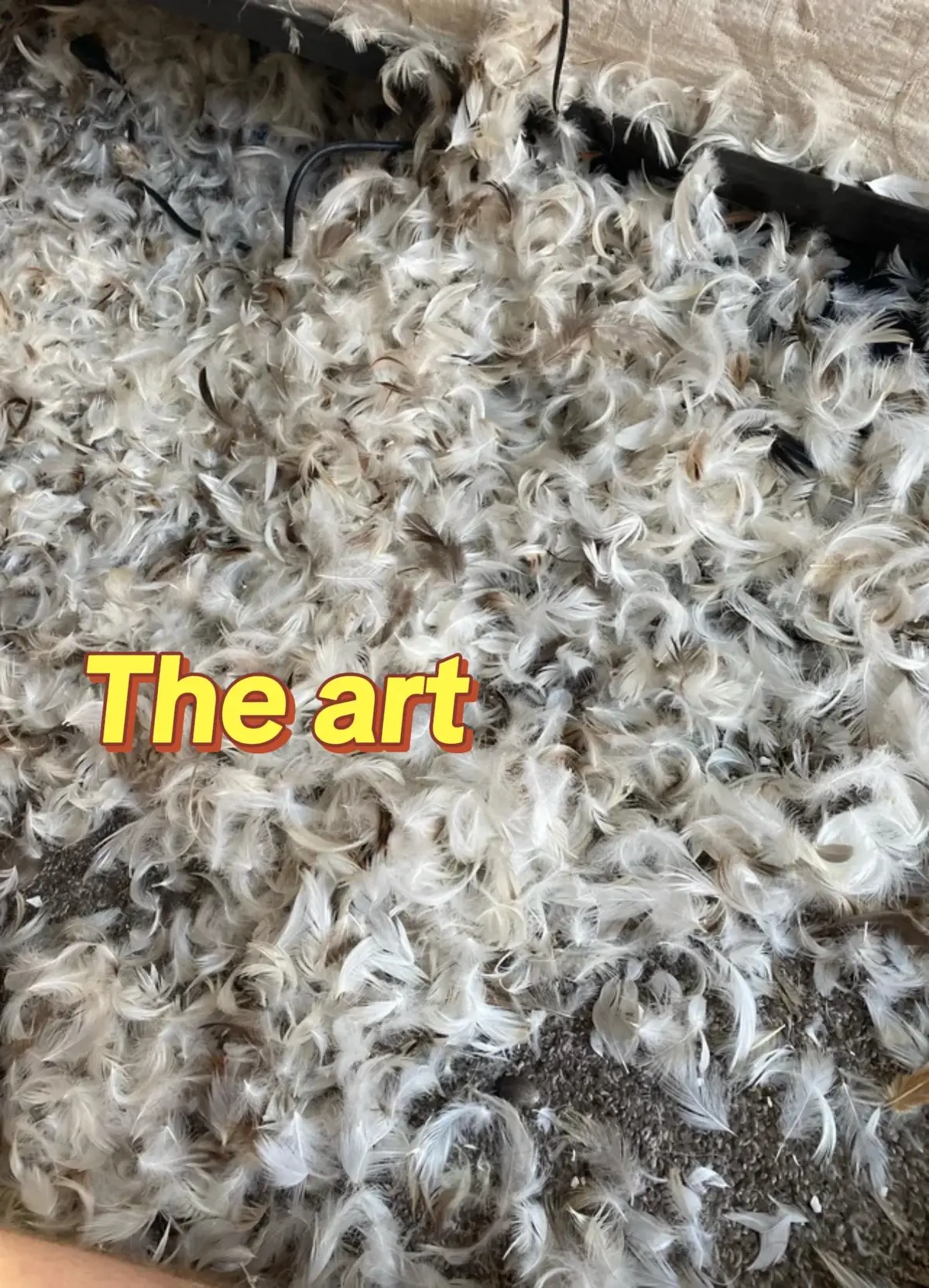 His own form of ~Art~ 