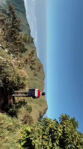 #CapCut 