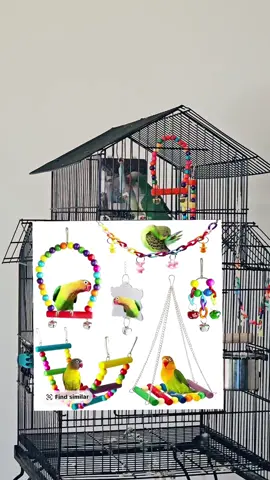 #cageaccessories #birds #birdsoftiktok #cage #toys #quakerparrot #accessories #backtoschool #tiktokshopfinds #deals #freeshipping 