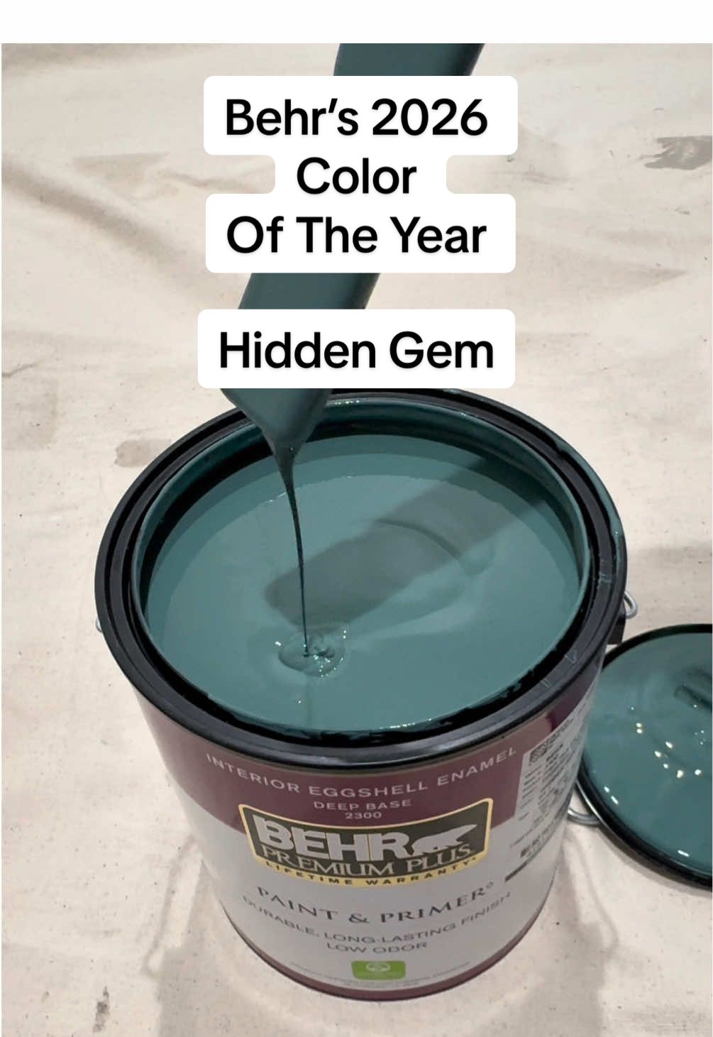 Greenish? Bluish?  Meet Behr’s 2026 Color Of The Year. Hidden Gem 💎#coloroftheyear2026#behr#coloroftheyear#painting#wallpainting 