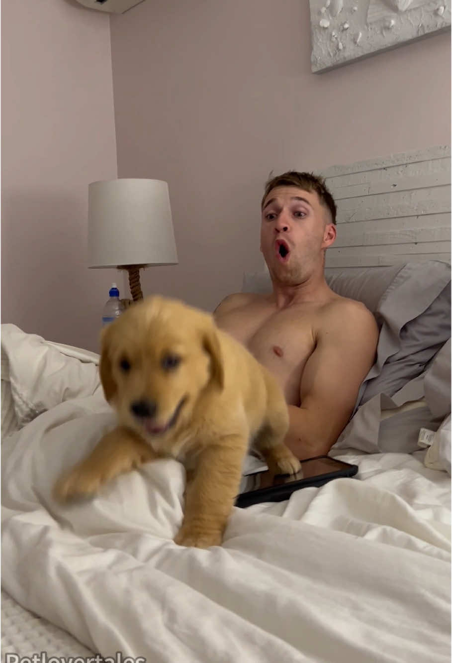 Scare dog prank😭😭😭#dog#dogsoftiktok #dogvideos #fyp