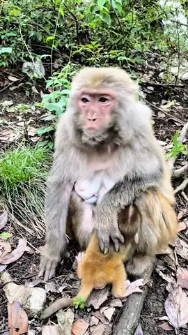 #fentysuperbrandday #tiktok #monkey #foryou 