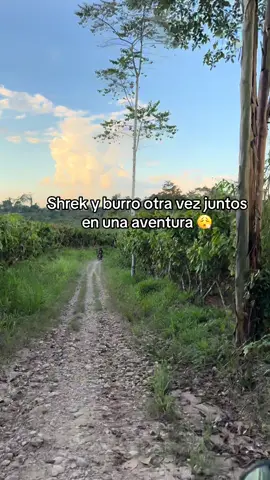 Lo más bonito de la vidaaaaa😜 #pucallpaperú🌴🦜🐍🐢🦥 #fyp #campo 