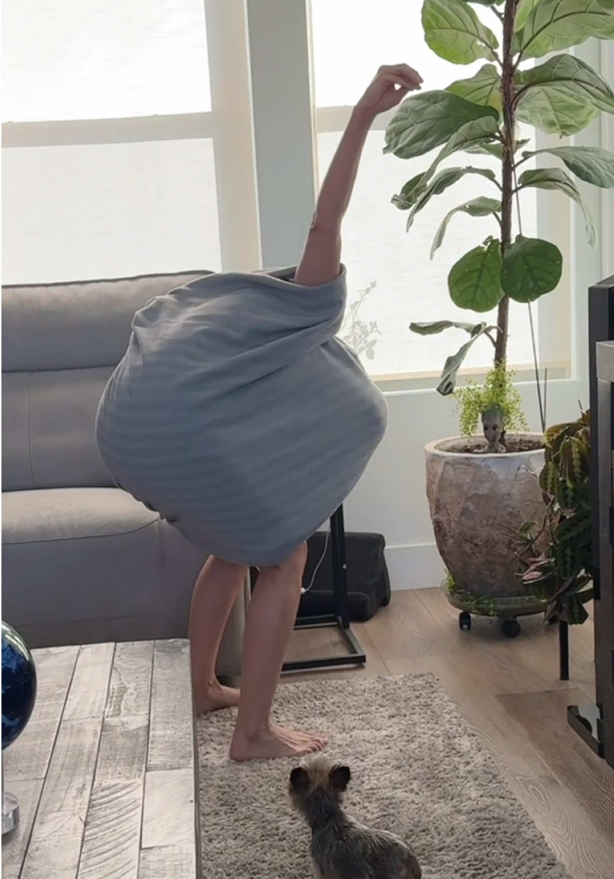 Ostrich in its natural habitat 🙋🏼‍♀️