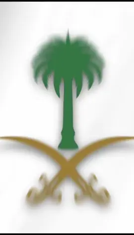 هذا السعودي فوق فوق 👑 #السعودية شعار السعودية الجديد#explore #اكسبلور #fyp 