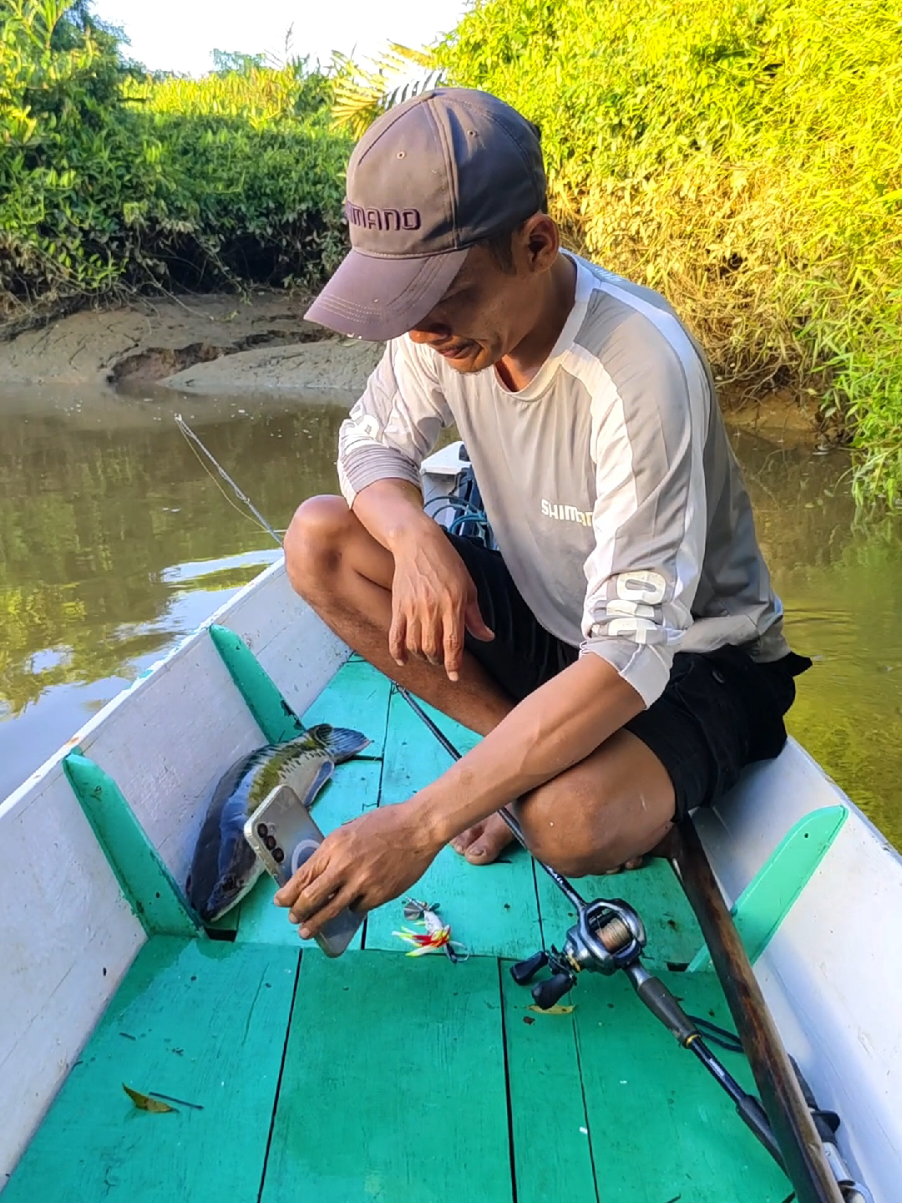 Langsung Di INTROGASI  #sijalang #Mancing #toman #memes #kocak #fyp 