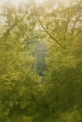 #2025 #fyp #haha #viral #viralvideos 