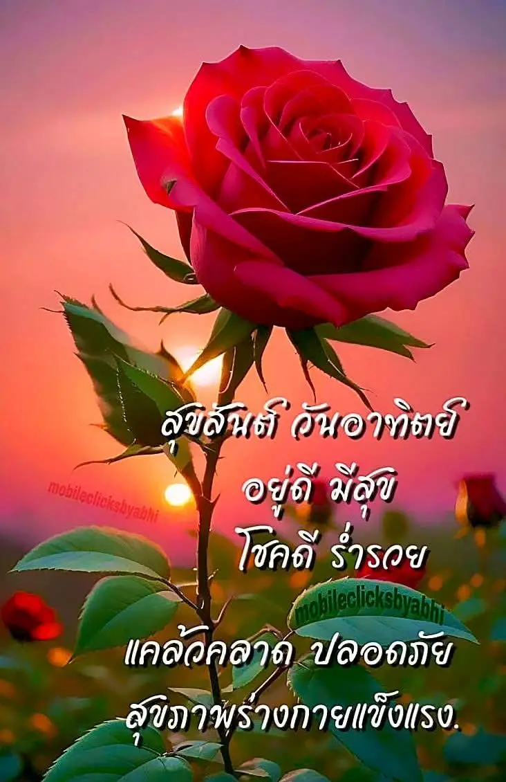 #เพลงเพราะมากค่ะ🥀❤❤🥀 #ดอกไม้สวย❤️💕 #เชิญรับชมค่ะ❤️🎂 