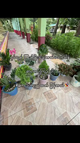 Rpက ဒုံးကျည်ထက် မြန်တယ်🫠#fyp #viral #foryou #iphone #edit #foryoupage #tiktok #livephotos 