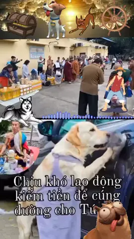 #duet cùng @Đi Tìm Sự Thật #fanchinhnghia #phuocnghiem #thichminhtue