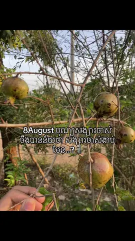 Sorry ss jas tver lg he🙏🏻🌚#tiktoktrending #vairal_video_tiktok #ចង់ល្បីដូចប្រូដែរ😹🤣🤣🤣🤣 #នាទីធ្លាក់likeបានជះមកដល់ហើយ😂 #fypシ゚ #fypyou #100kviews #24hours #followers➕ 