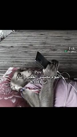 ههههههه 😹.. #سعودڤ🇸🇦 #explore #تيم_ريتش 