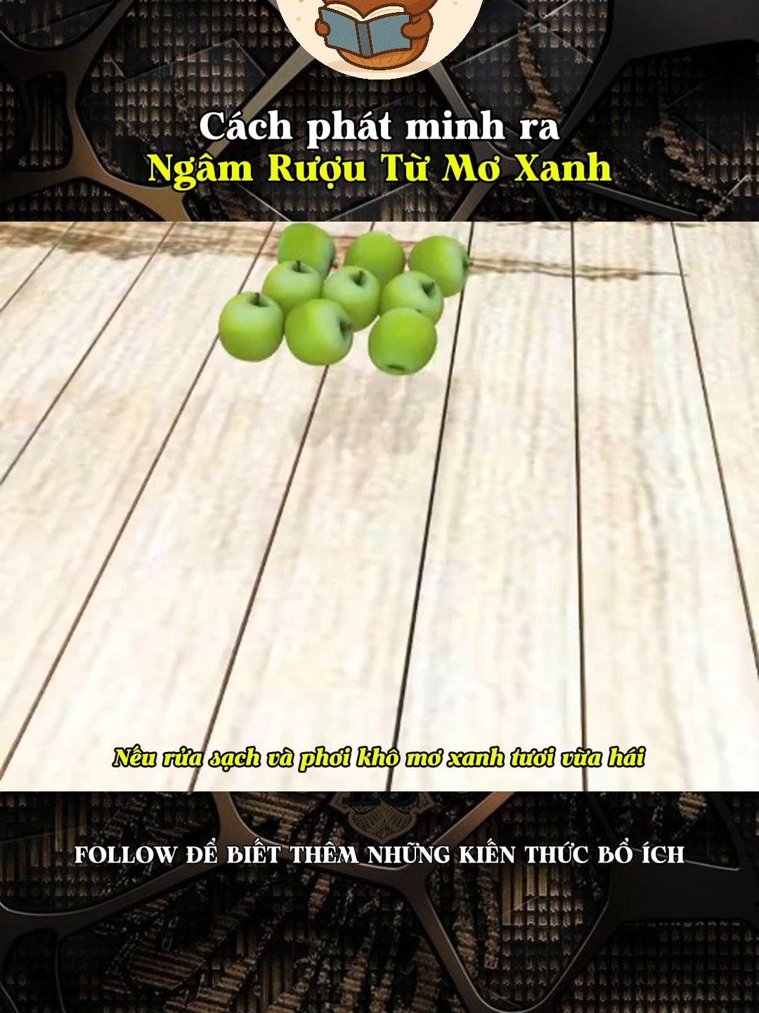Cách phát minh ra Ngâm Rượu Từ Mơ Xanh#kienthucthuvi #khoahoc #khampha #LearnOnTikTok #kienthuc #xh