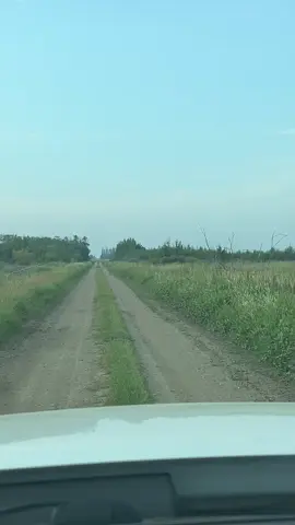 Cruison the back roads, lookin for sage… While im at it, just crank the tunes… #saskatchewan #backroads #IndigenousTikTok #nativetiktok #sage 