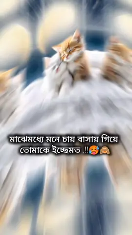 হুম জান 😫##ভাইরাল_করে_দাও #ভাইরাল_করে_দাও #ভাইরাল_করে_দাও #ভাইরাল_করে_দাও #ভাইরাল_করে_দাও 