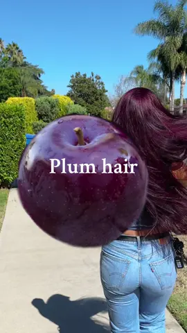 Plum hair 💜♥️no bleach needed 👀#plumhair #haircolor #wlw #lgbt #hair 