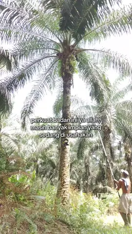 #fypシ゚ 
