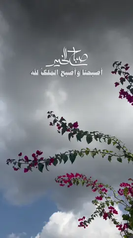 #صباحكم_معطر_بذكر_الله🍃🌹 