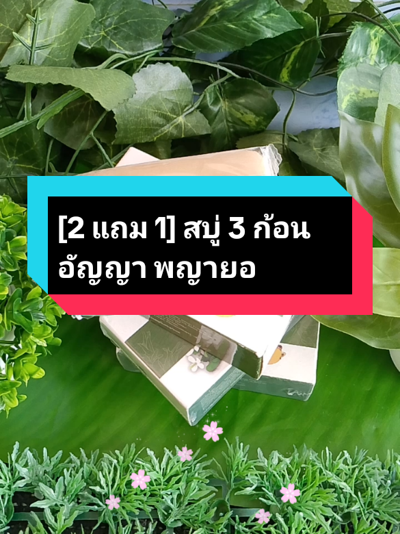 #[2 แถม 1] สบู่ 3 ก้อน อัญญา พญายอ พลูคาว#สบู่สมุนไพร #สมุนไพรอัญญาพญายอพลูคาว #คลิปนี้ต้องฟีด #tiktokป้ายยา 