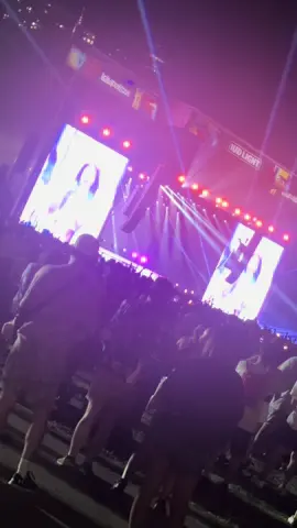 Lollapalooza 2025 #lollapalooza2025#twice_tiktok_official #fyp #summernights 