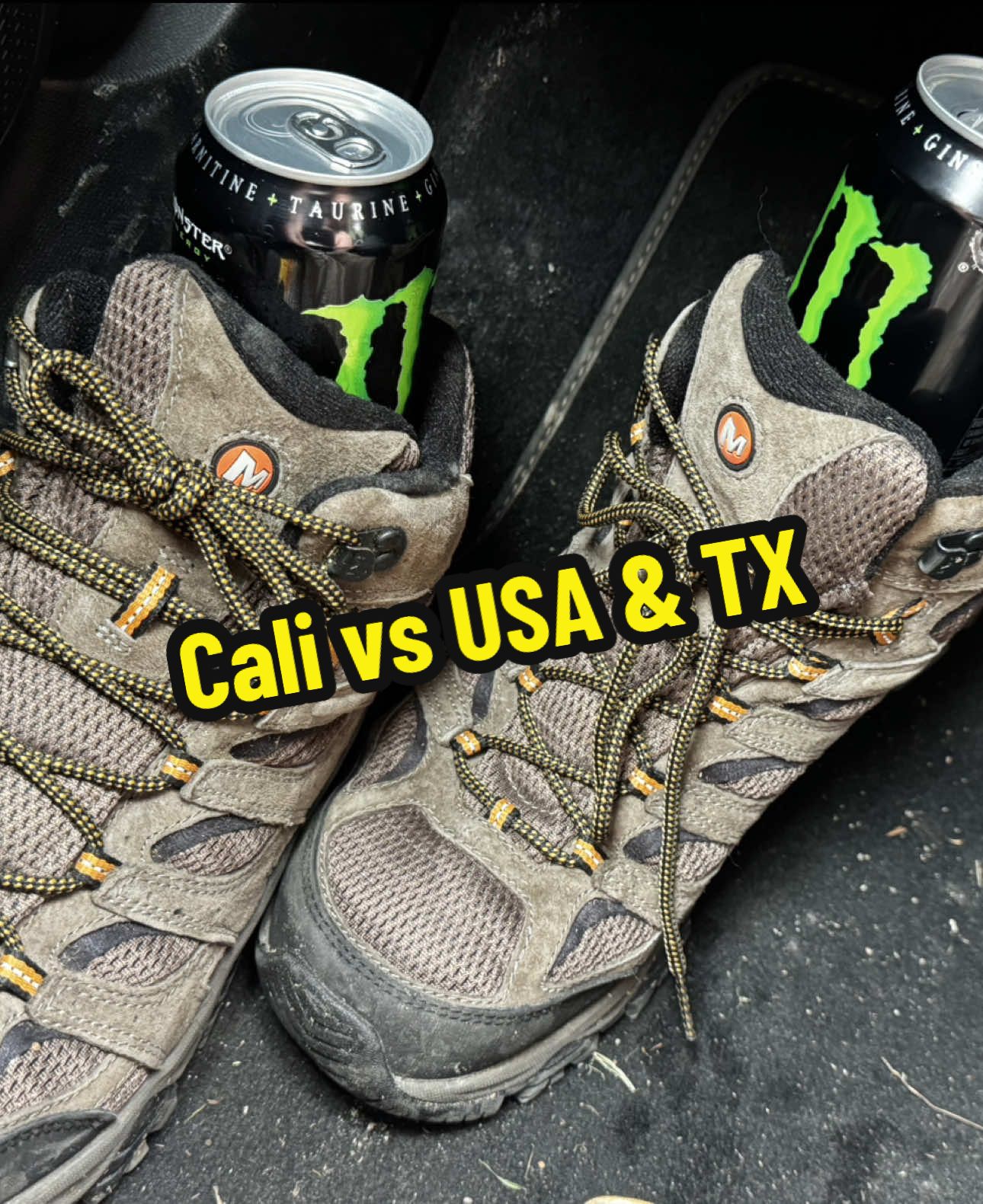 Trump personally called Texas governor greg Abbott and told him that he wants to add five congressional seats in the state. Nope, more peoooe aren’t voting, they’re just rigging the game in favor of them winning more seats. In response Californias Governor, Gavin Newsom, said aight, let’s go toe to toe. I’ll make sure no republican wins a seat in all of Cali. #california #texas #politics #trump #abbott #newsom #voting 