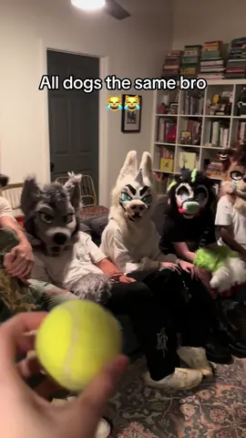 Dogs, am I right!?!?😾😾 #furry #furryfandom #fursuit #furrytiktok #fursuiter 
