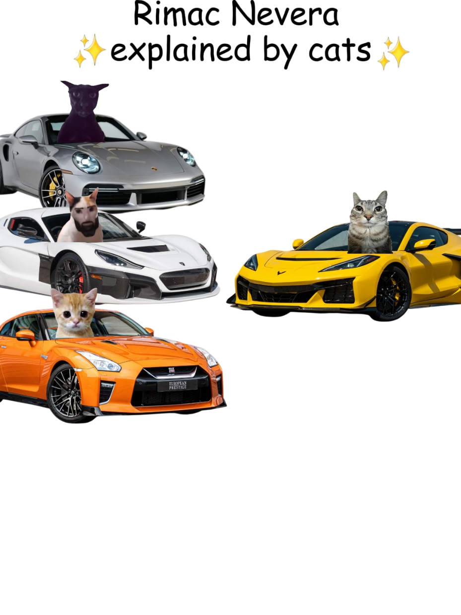Rimac Nevera explained by cats  #cats #mechanic #cars #carguys 