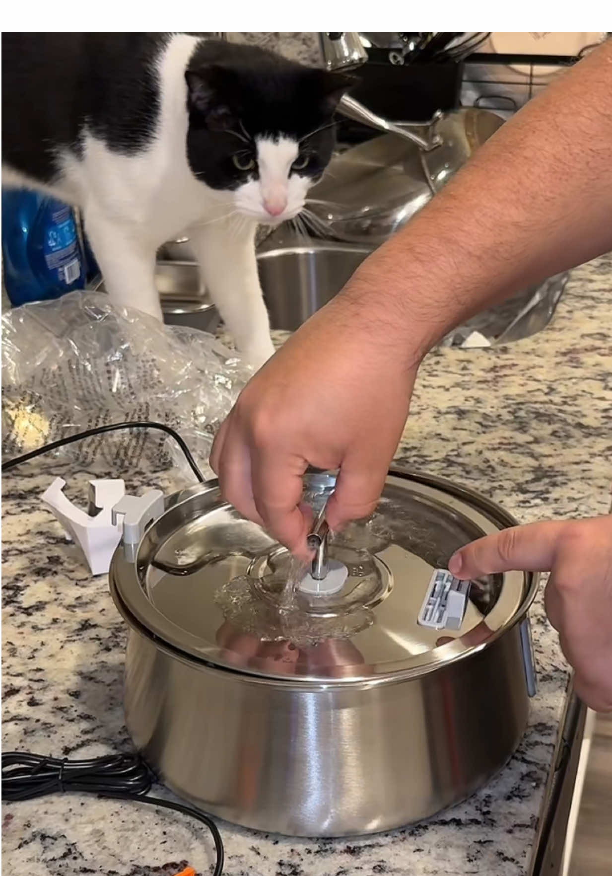 Lulu got his new sister a stainless steel water fountain ❤️ #catwaterfountain #petwaterfountain 