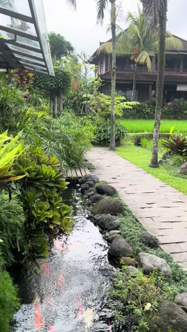 Good morning @bliss Ubud Spa Resor #happiness #lovenature🌿 #fresh #ricefields #ubudbali #blissubudsparesort #fyp 
