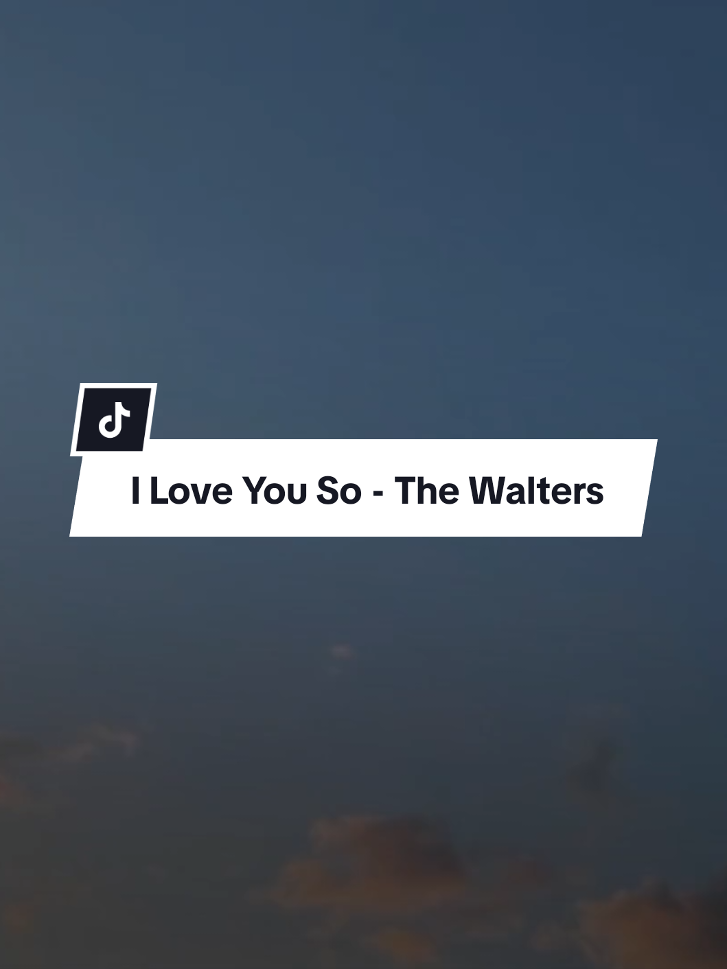 I Love You So - The Walters (Mmsub)