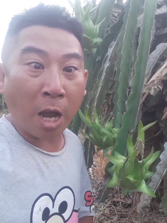 Đào Lửa ( là gì .?. ) @KB Hoàng Anh @KB Hoàng Anh @KB Hoàng Anh #daolua #lagi #xuhuong #xuhuongtiktok #thinhhanh #thinhhanhtiktok 