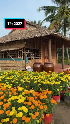 Nay 30 Tết anh chị mua dưa chưa  #sautivivafbimbim#tinhoque#xuhuong 