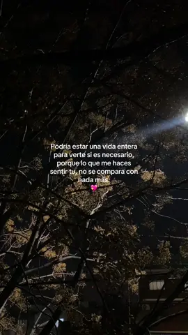 #paradedicar #amor #frase #teamo #fyp #parati 