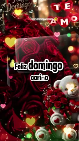 Feliz domingo cariño 😘 #felizdomingo #frasesparadedicar #amoreterno1120 #usa🇺🇸 #fyp 