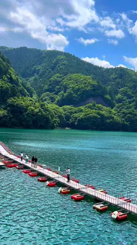 都会の喧騒を忘れる、奥多摩の絶景スポット&麦山の浮橋 #麦山の浮橋 #浮橋 #奥多摩 #川キャンプ #東京スポット#川遊び #東京人気スポット 