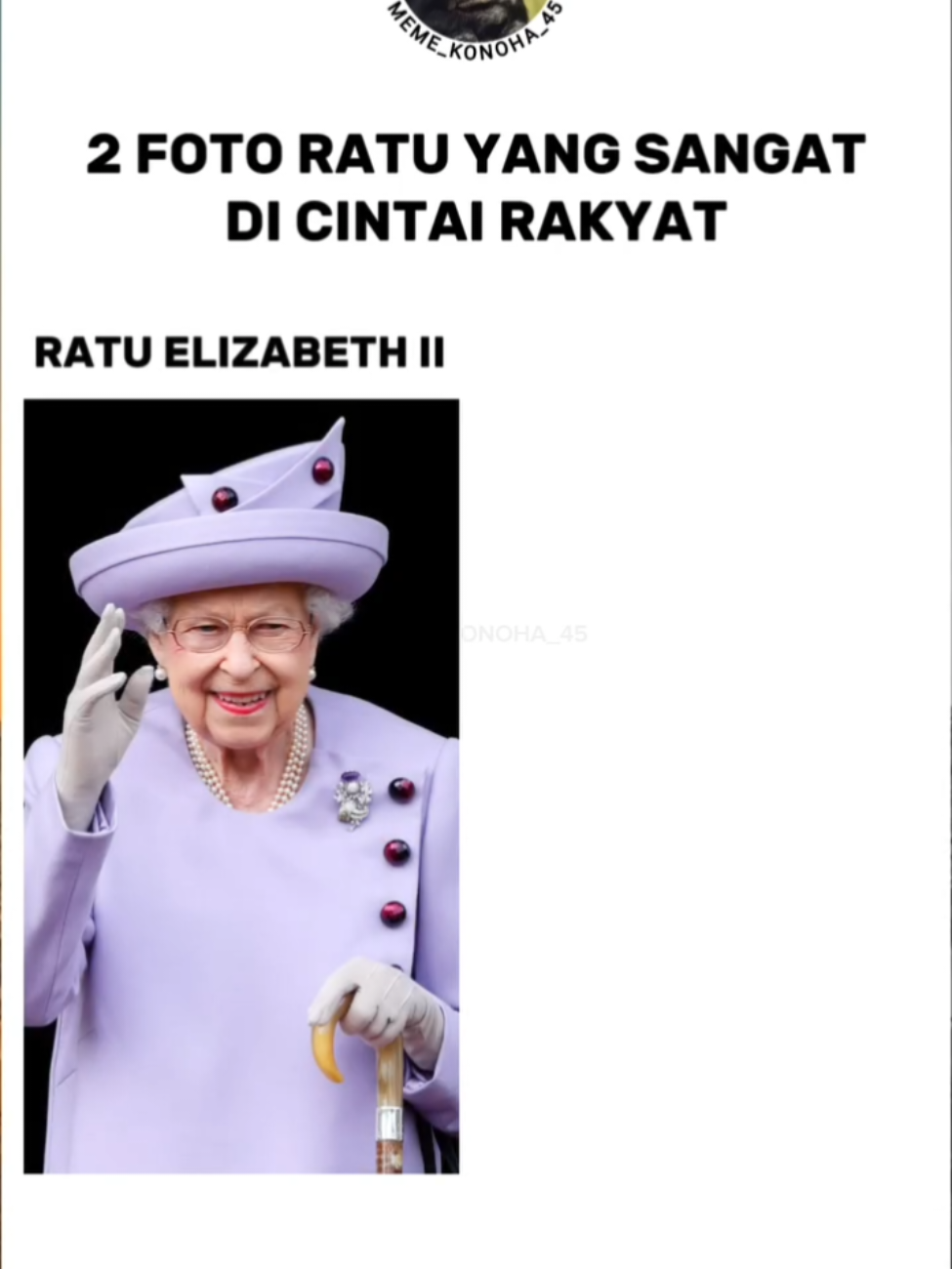 AYO ANAK² BELAJAR 🗿 • • • jangan lupa like dan follow #elizabeth #pajak #indonesia #onepiece #anime 