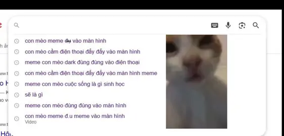 Cách tôi tìm kiếm 1 vd mà không biết tên kiểu =))))#xuhuongtiktok #xhtiktok  #pyfツ #meo #memes 